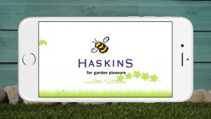 Haskins Buzzy Bee End Game Screen