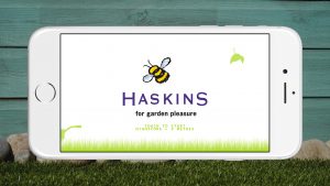 Haskins Buzzy Bee Start Screen